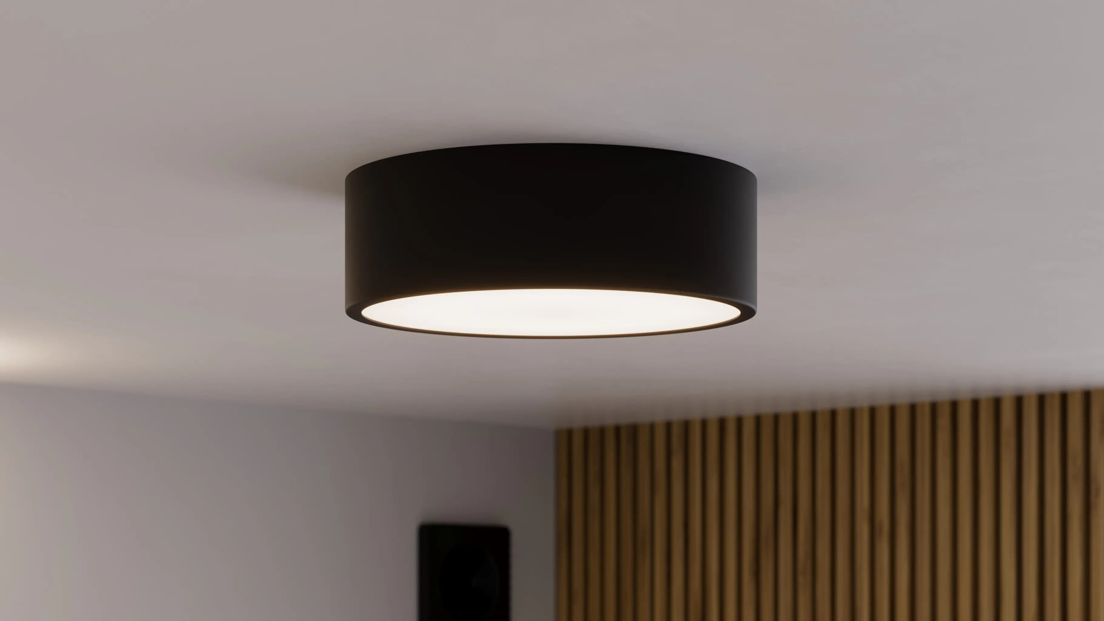 Ceiling Lighting