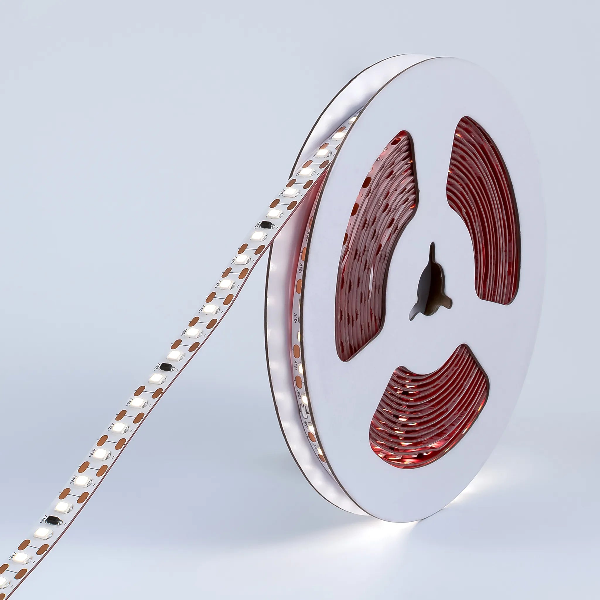 #Light colour_Cool White